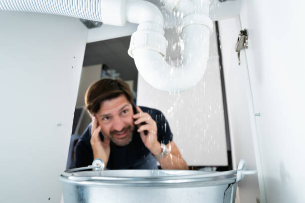 Best Local Plumber Services  in , MO